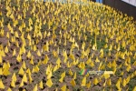 A field of yellow flags in Saint-Etienne (607x)