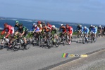 Het peloton aan de kust (2) (463x)