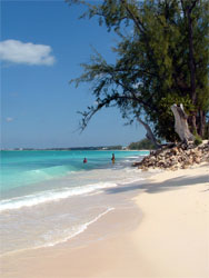The Cayman Islands
