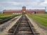 [Birkenau] (436x)