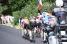 The breakaway with Mauro Schmid, Richard Carapaz, Valentin Paret-Peintre, Tobias Johannessen, Raul Garcia Pierna and Matteo Jorgenson (stage 18) (2) (39x)