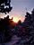 The sunset in a wintery landscape (222x)