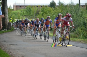 Rabobank Continental Team dans le peloton (742x)