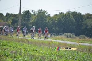 Le peloton se préparer pour un virage à droite (681x)