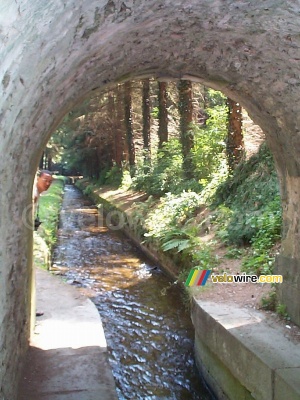 Rachid à côté du Canal du Midi (203x)