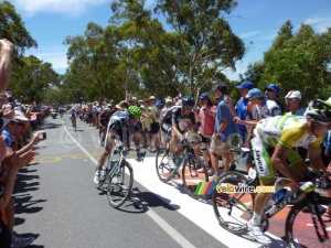 Alejandro Valverde (Movistar Team) sprinte vers la victoire (679x)