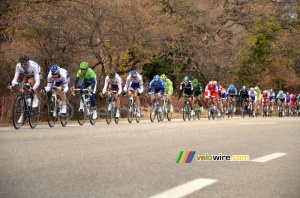 Alejandro Valverde (Movistar Team) dans le 3ème groupe (603x)