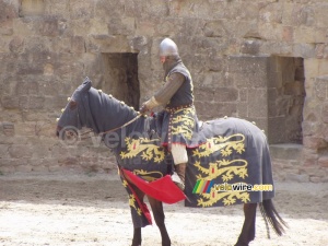 Carcassonne: one of the horseriders of the show (751x)