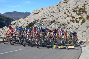 Le peloton sur le Col des Lèques (2) (531x)