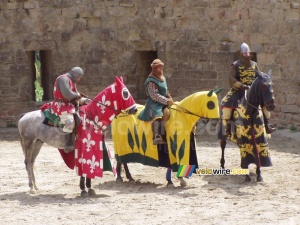 Carcassonne: horseriders (688x)