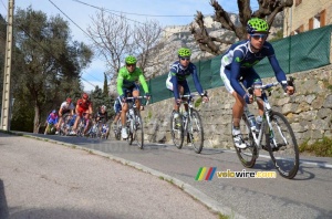 Alejandro Valverde (Movistar Team) (442x)