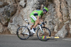 Alejandro Valverde (Movistar Team) (1225x)