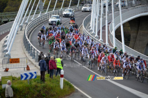 Le peloton sur le Pont de Terenez (717x)