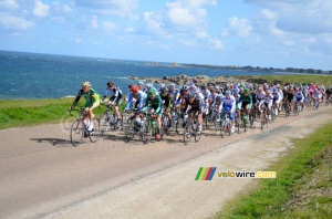 The peloton along the coastline (1963x)