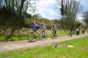 The leading group in the second ribin (2) (753x)