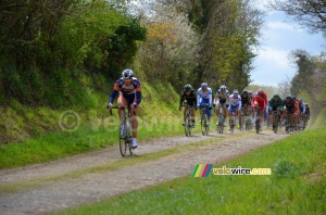 Le peloton au second ribin (613x)