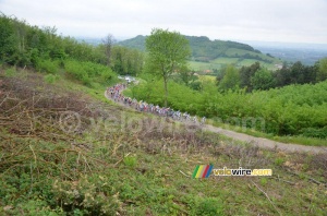 Le peloton sur la Côte de Moras-en-Valloire (652x)