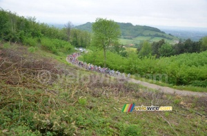 Le peloton sur la Côte de Moras-en-Valloire (514x)