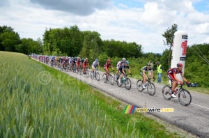 The peloton on top of the Côte de Chambaran (568x)