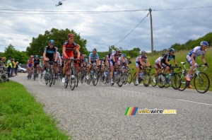 The peloton on the Côte des Escoffiers (687x)