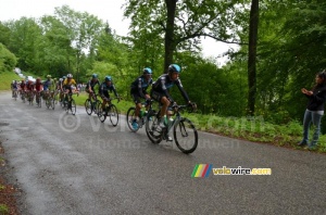 Team Sky leading the peloton (739x)