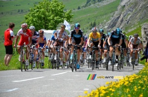 Le peloton sur le Col de la Colombière (546x)