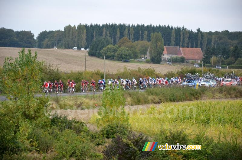 Het peloton in de verte