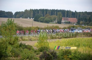 Le peloton vu de loin (428x)