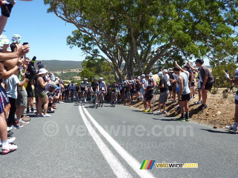 Het peloton op Checkers Hill