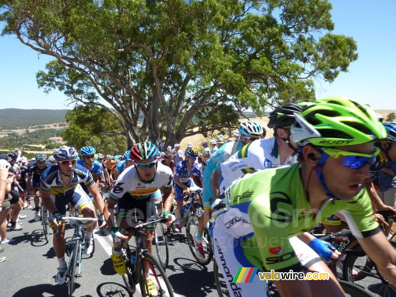 Het peloton op Checkers Hill (2)