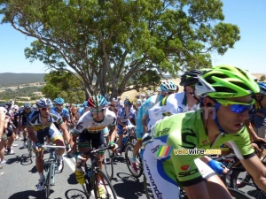 The peloton on Checkers Hill (2) (683x)