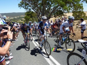 The peloton on Checkers Hill (3) (720x)