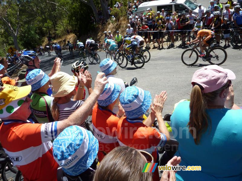 De afdaling van Corkscrew Road