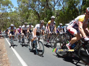 Davide Appollonio (AG2R La Mondiale) in the peloton (545x)