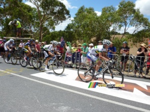 Anthony Giacoppo, Jack_Bobridge & Christopher Juul-Jensen (689x)