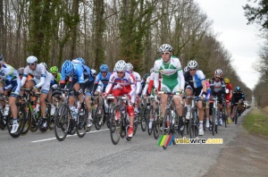 Le peloton dans la forêt autour de Cérilly (530x)