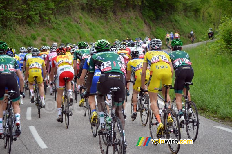 Het peloton net na de start
