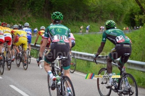 Thomas Voeckler (Europcar) à l'arrière du peloton (372x)