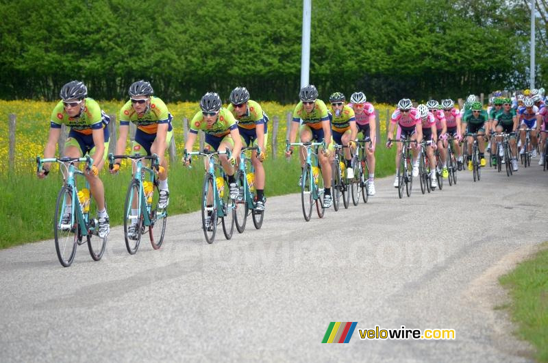 Het peloton onder aanvoering van Sava (2)