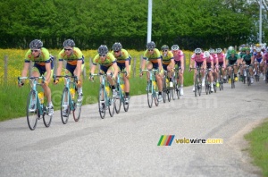 Le peloton sous les ordres de Sava (2) (258x)