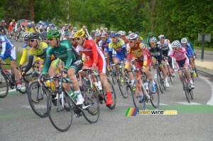 Les coureurs en approche du départ réel (4) (384x)