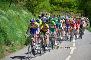 Le peloton au Col de Pavezin (321x)