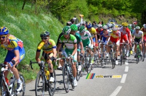 Alexis Vuillermoz (Sojasun) sur le Col de Pavezin (329x)