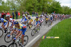 Le peloton sur le Col de la Croix de Toutes Aures (3) (503x)