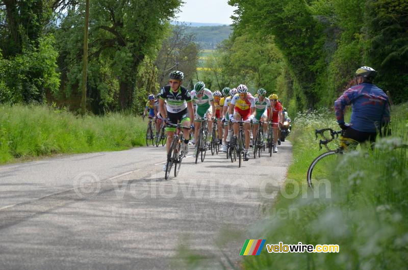 Het peloton op de Côte d'Arzay