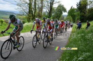 Le peloton sur la Côte d'Arzay (3) (470x)