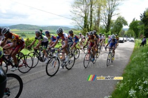 Le peloton sur la Côte d'Arzay (4) (368x)