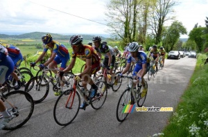 Le peloton sur la Côte d'Arzay (5) (343x)