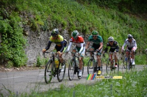 Tadej Valjavec (Sava), Alexis Vuillermoz (Sojasun), Christophe Kern (Europcar), Yoann Michaud (Bourg-en-Bresse Ain Cyclisme) & Frédéric Talpin (VC Caladois) (481x)