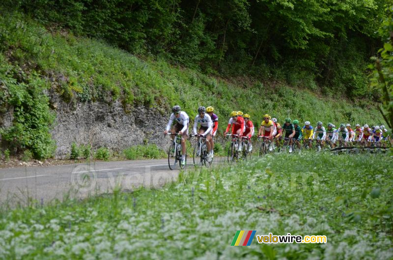 Het peloton op de eerste klim van de Côte de l'Etang de Ry